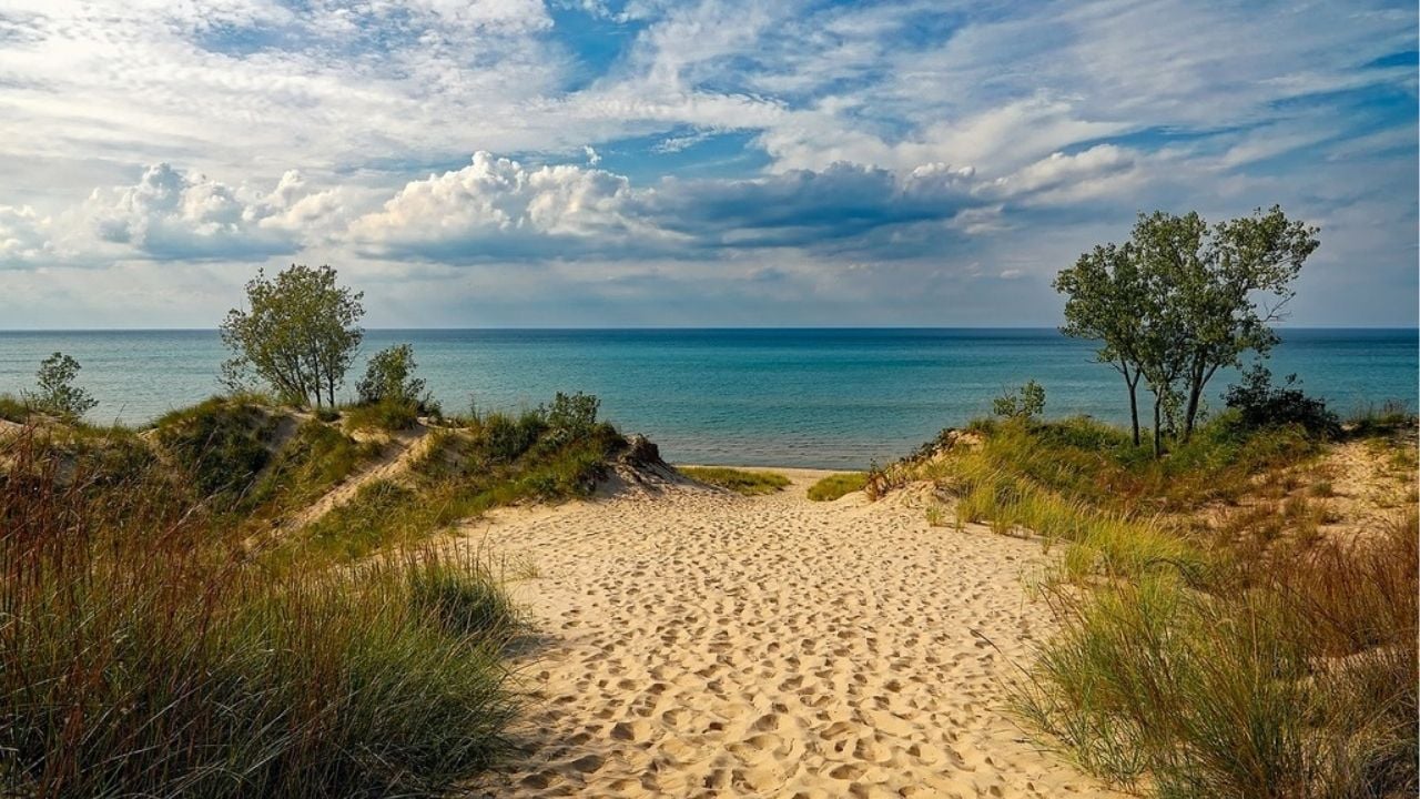 indiana-dunes-beach