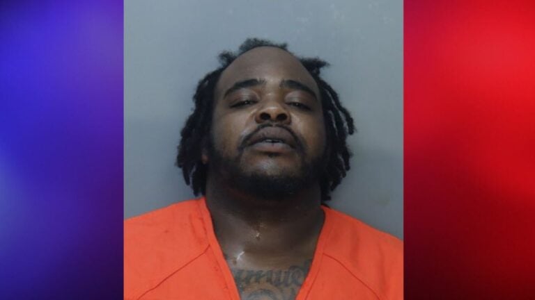 mugshot florida man