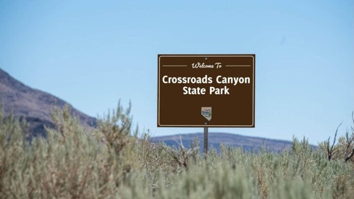 Nevada Wants the Public’s Input to Name Its Newest State Park (Ends Today at 11:59 p.m.)