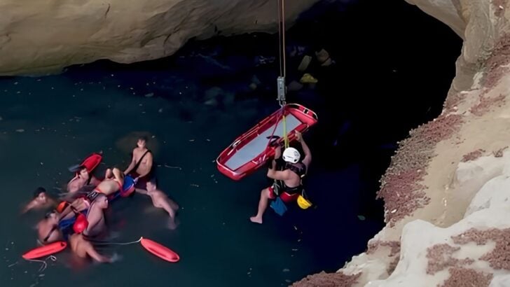 Crews Makes a Dramatic Rescue After Man Falls From California Sunset Cliffs