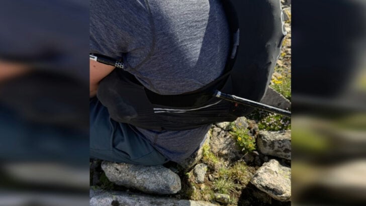 Brave Montana Nurse Hikes Nearly 10 Miles With Trekking Pole Impaled Through His Side