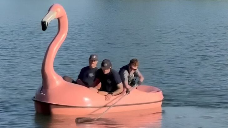 Colorado Firefighters Use Cute Flamingo Pedal Boat to Rescue Snapping Turtle