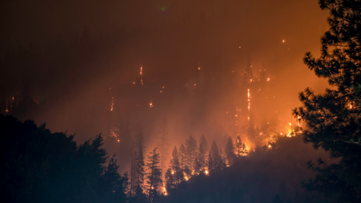 Wildfire Embers Can Travel More Than a Mile—This is How to Protect Your Home