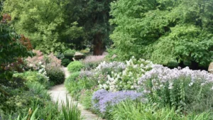 13 Drought-Tolerant Plants That Make a Xeriscape Look Lush