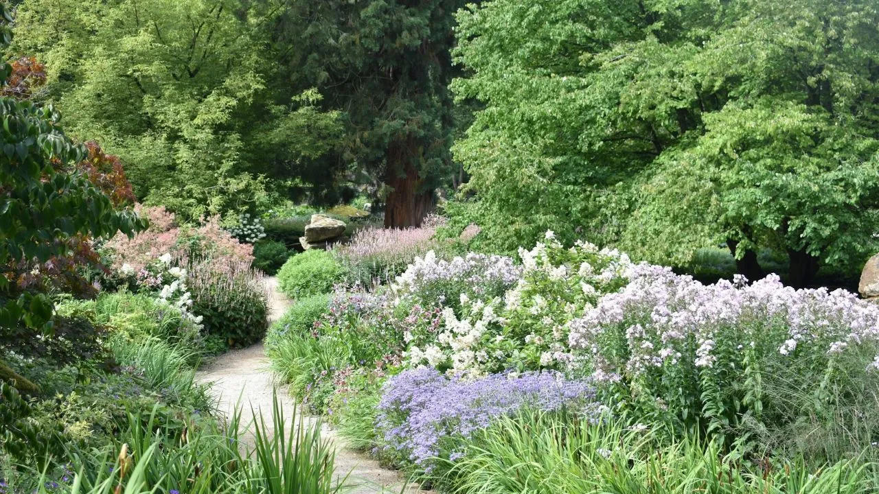 A garden filled with lots of different types of flowers.