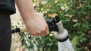 This Winter Outlook Has a Hidden Catch: 7 Yard Mistakes to Stop Before October Ends
