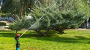Half the Water You’re Using on Your Garden Is Going to Waste: Here’s How to Stop It