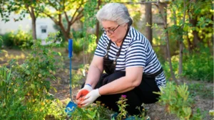 8 Fall Perennial Planting Mistakes That Waste Hundreds of Dollars Every Year