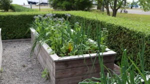 No Yard? No Problem. 13 Small Space Gardening Ideas That Make Every Inch Count