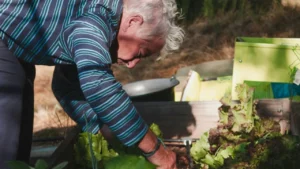 7 Adaptive Gardening Ideas for Older Adults with Limited Mobility