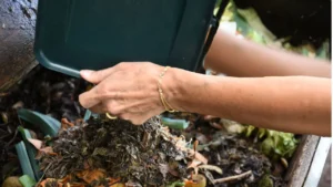 9 Things You’re Tossing in the Trash That Could Fix Your Garden Soil for Free