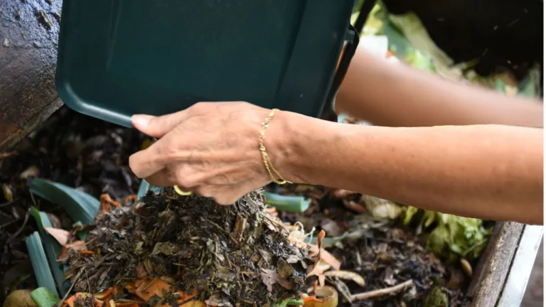 Apports mains compost.