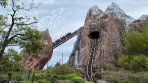 Disney World is Permanently Removing the Single Rider Line from Expedition Everest