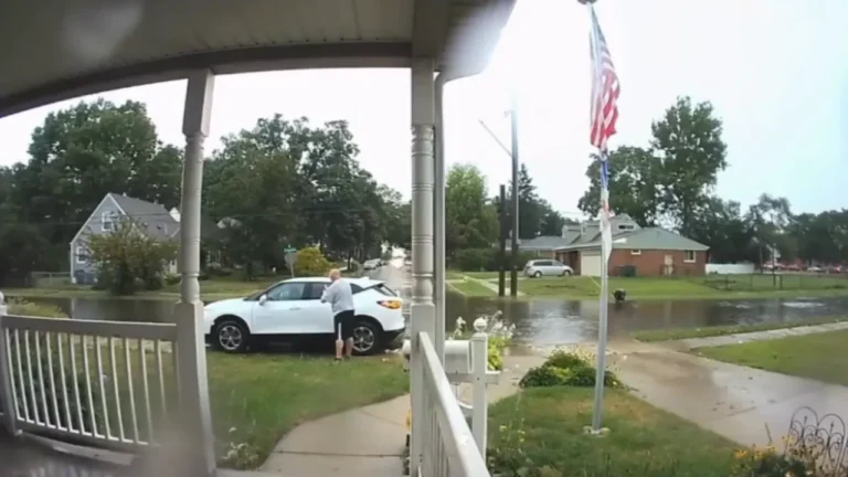 woman drives across the lawn