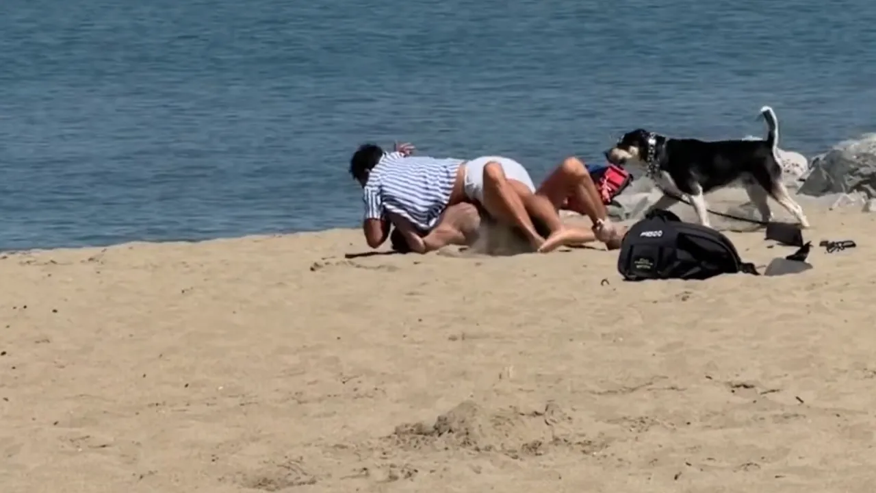 Man Tries to Punch Dog Walker.