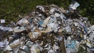 St. Louis Mail Carrier Accused of Dumping 30,000 Letters Instead of Delivering Them