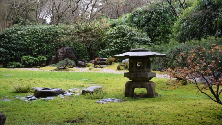 Japanese Garden 9