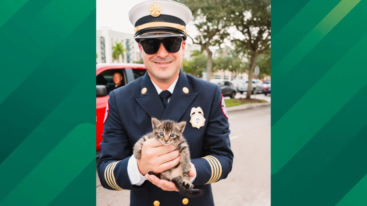 Kitten rescued at 9/11 tribute.