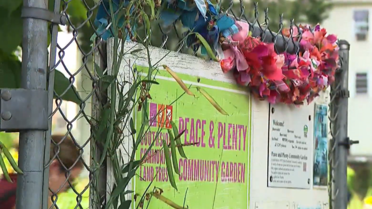 Peace & Plenty Community Garden.