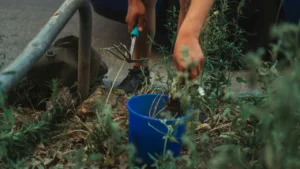 Stop The Weeds Before They Win: 12 Chemical-Free Methods That Actually Work