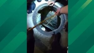 Tampa Cops Use a Bucket and Cheese to Rescue Tiny Dog Trapped in Drain Before It Finds a &lsquo;Fur-Ever Home&rsquo;