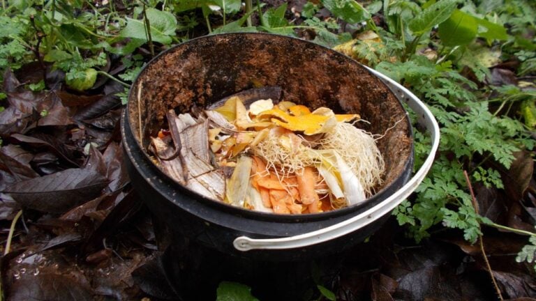 The bucket is made of food-grade plastic, stainless or stable and non-polluting material.