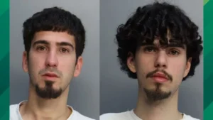 Florida Men Behind $30,000 Target LEGO Spree Busted Stealing Meat at Publix