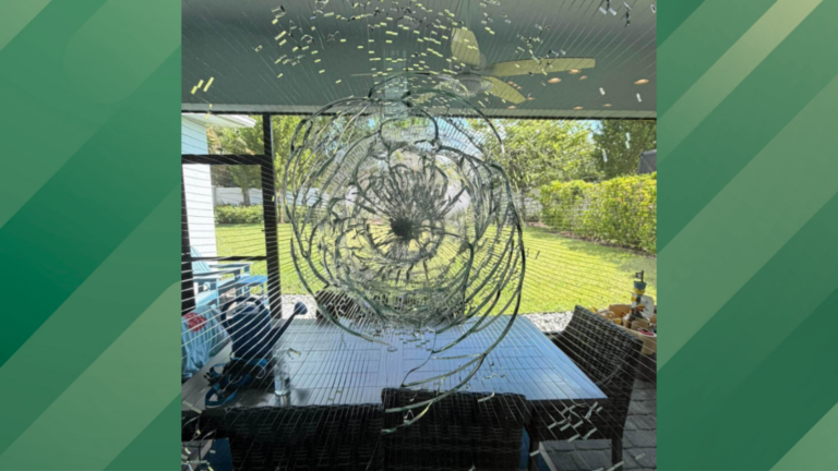 Bullet hits Florida home.