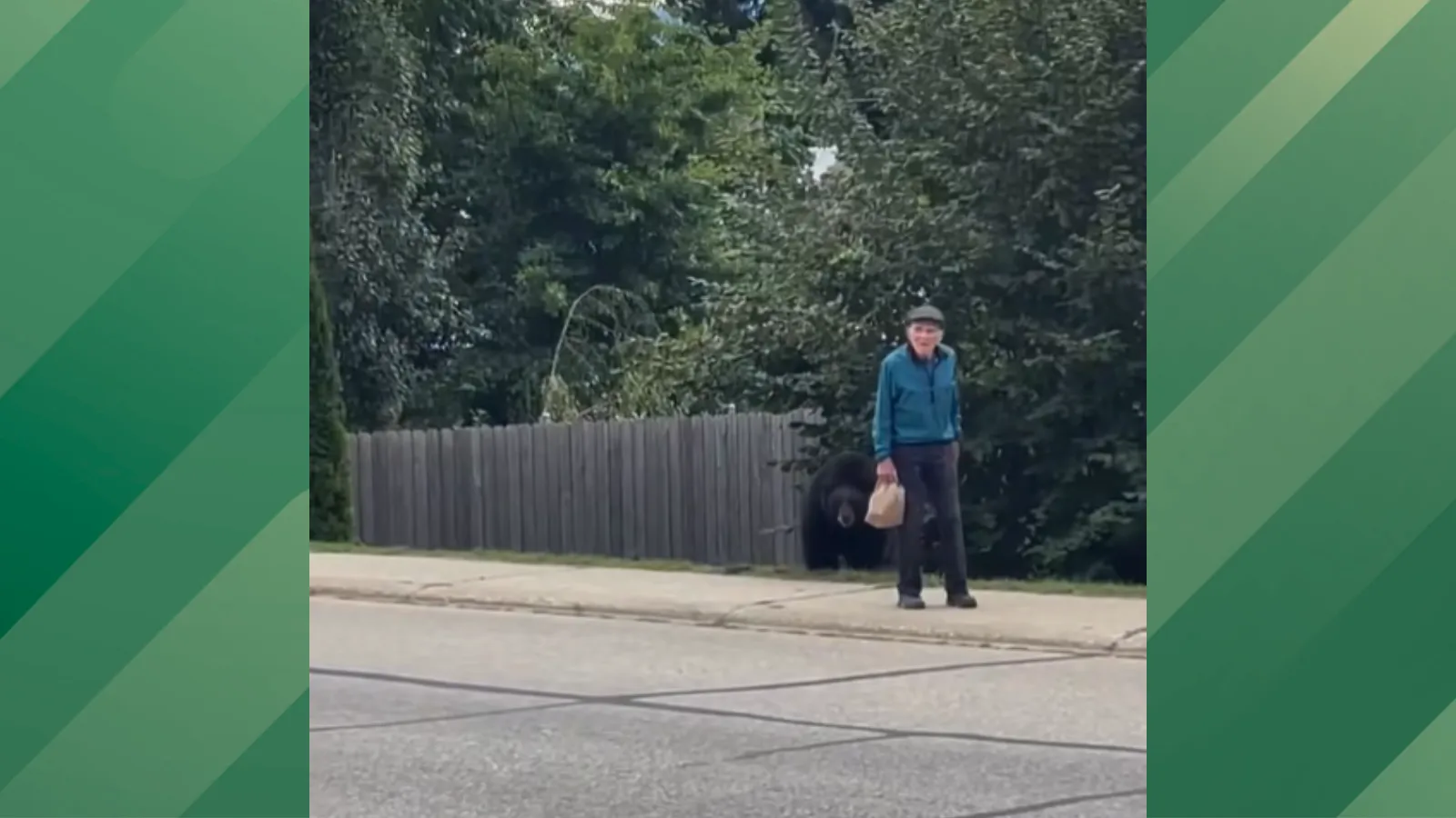 Bear follows old man.