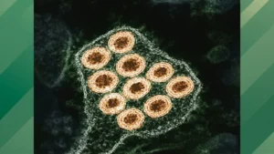 The CDC is Sounding the Alarm Over an Increase in Rabies Cases