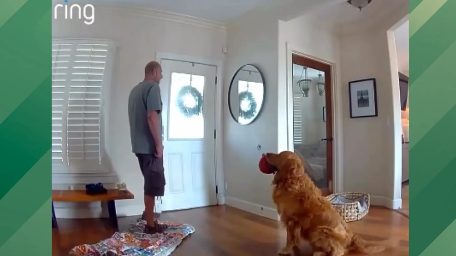 Dog greets burglar with toy.