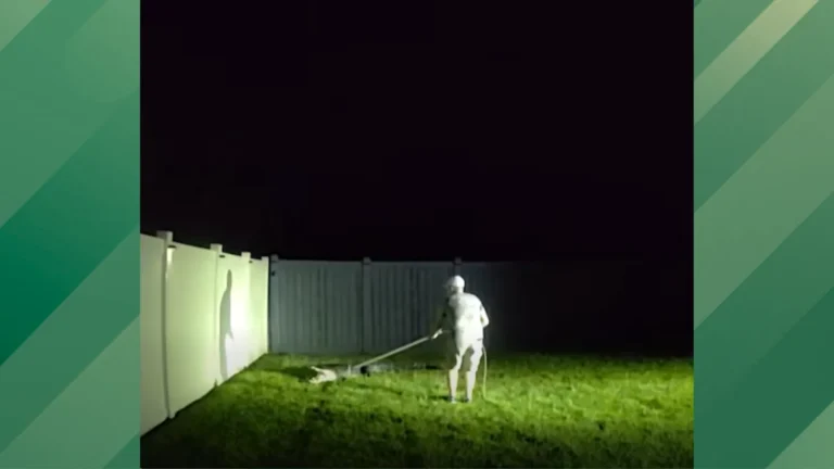 Trapper catches backyard gator.