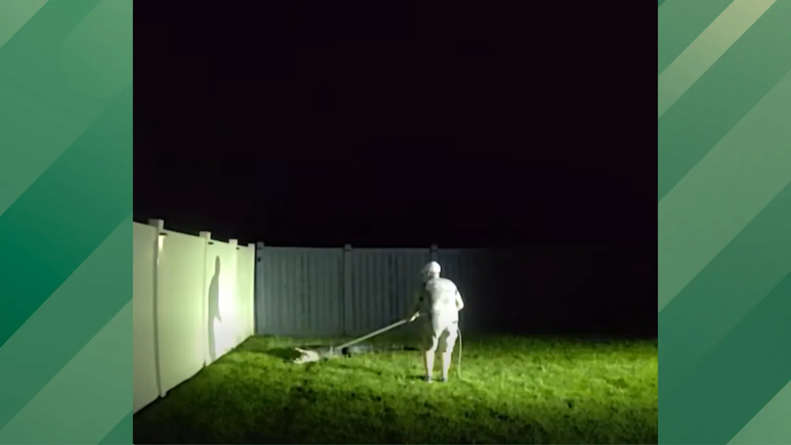 Trapper catches backyard gator.