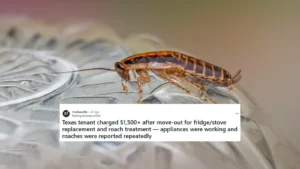 Texas Renter Says They’re Being Charged $1500 for Roaches & Broken Appliances They Aren’t Responsible For