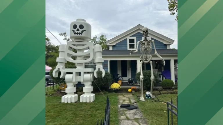Man’s Massive Lego Skeleton Goes Viral