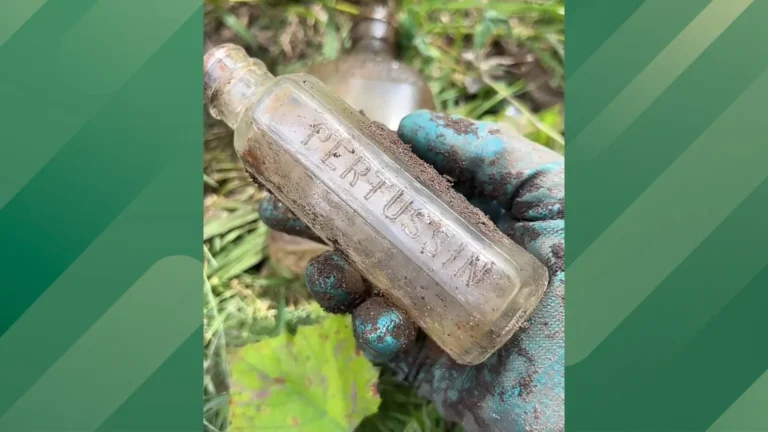 Woman finds bottles in yard.
