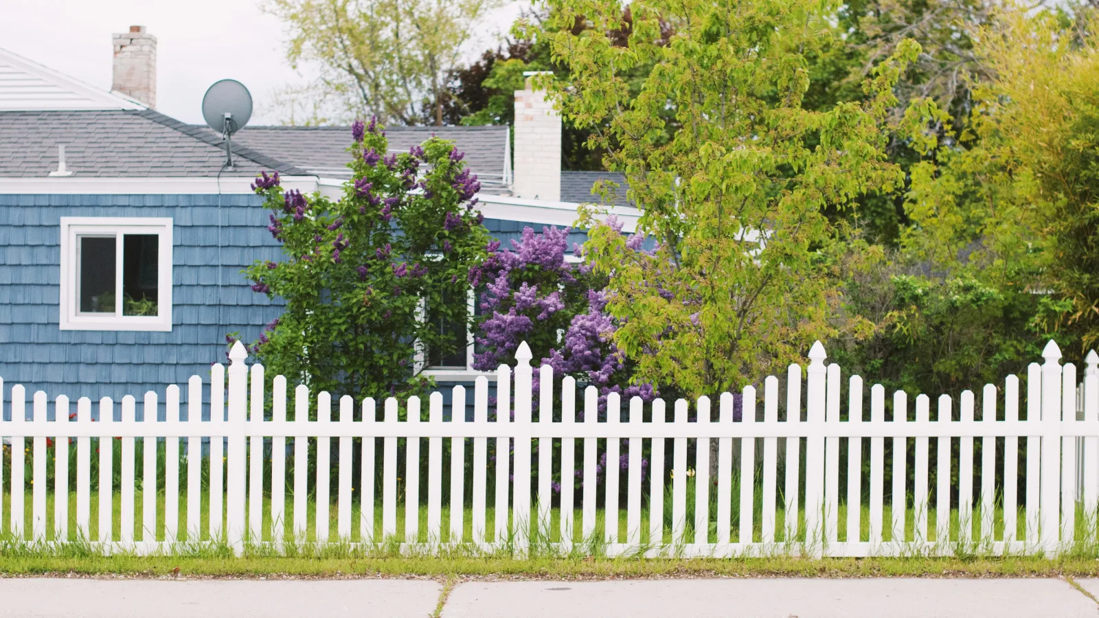 Neighborhood fence dispute.