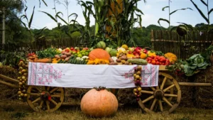 8 Fall Garden Harvest Mistakes That Put Your Garden’s $500 Payoff at Risk
