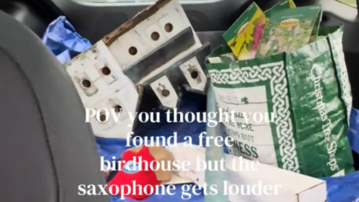 Couple Mistakes Neighbor’s Birdhouse for Curbside Freebie, Owners Plea for It’s Return