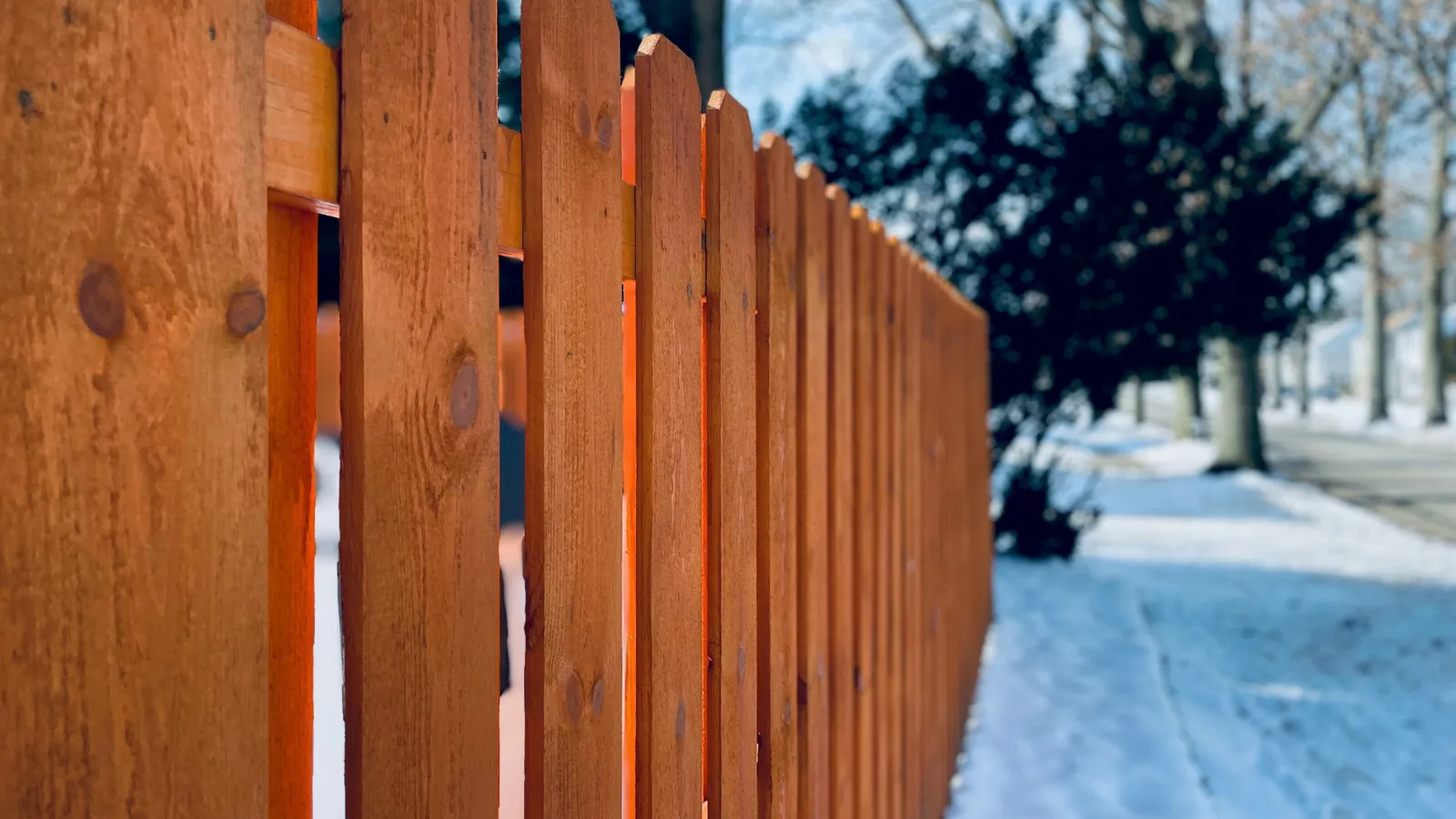feather edge fence.