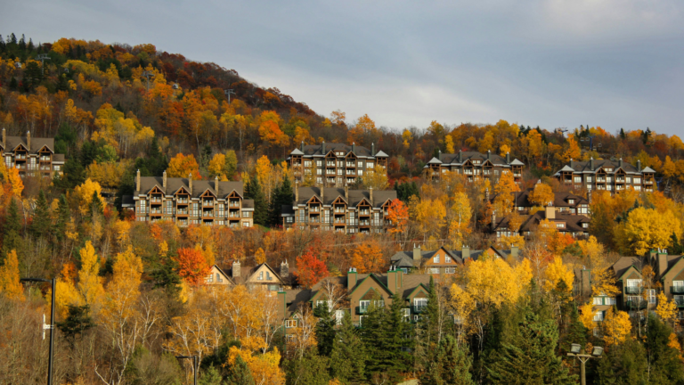 file-photo-of-autumn-scenery.