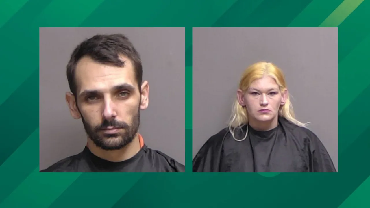 flagler county booking photos.