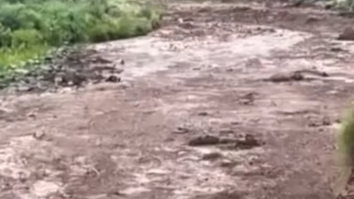 Grand Canyon Flash Floods Leave 2 Dead and 1 Missing, Force Major Closures with No Open in Sight