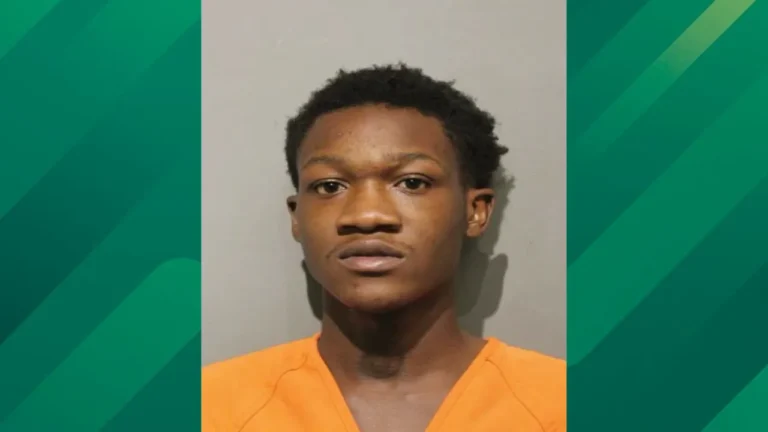 harris county mugshot.