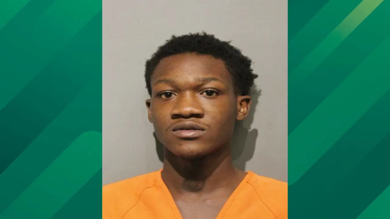 harris county mugshot.