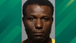 man arrested for kicking dog.