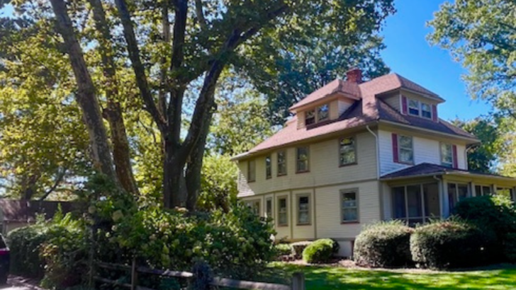 Neighbors Fight to Save Massive New Jersey Tree Estimated to Be Almost 300 Years Old