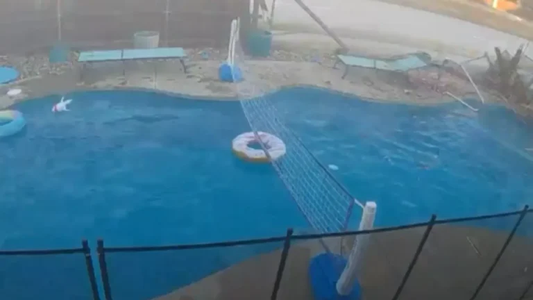 poolside crash.