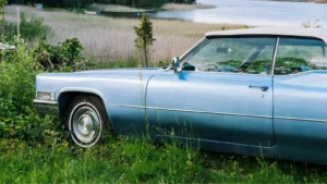 Neighbor Keeps Driving Across Homeowner’s Grass to Reach Their Driveway