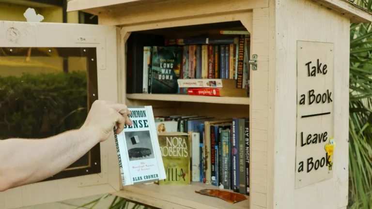 stock photo of little library.